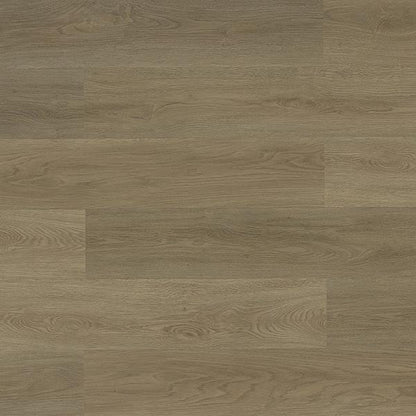 Toucan Vinyl SPC - TFSPC 251 - F - TFSPC251 - D & R Flooring