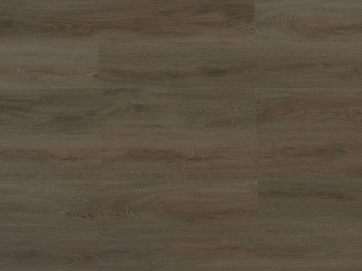 Toucan Vinyl SPC - TFSPC 252 - F - TFSPC252 - D & R Flooring
