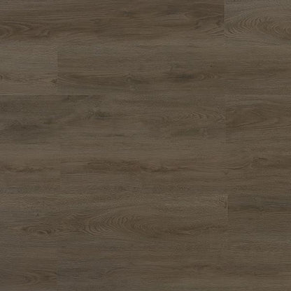 Toucan Vinyl SPC - TFSPC 252 - F - TFSPC252 - D & R Flooring