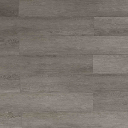 Toucan Vinyl SPC - TFSPC 261 - F - TFSPC261 - D & R Flooring