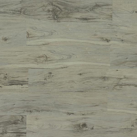 Toucan Vinyl SPC - TFSPC 307 - F - TFSPC307 - D & R Flooring