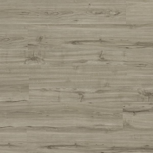 Toucan Vinyl SPC - TFSPC 309 - F - TFSPC309 - D & R Flooring