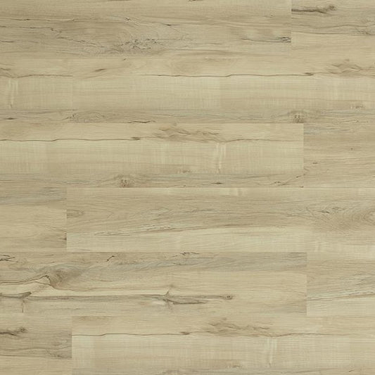Toucan Vinyl SPC - TFSPC 310 - F - TFSPC310 - D & R Flooring