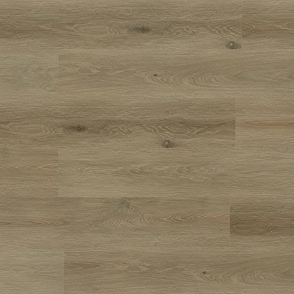 Toucan Vinyl SPC - TFSPC 311 - F - TFSPC311 - D & R Flooring