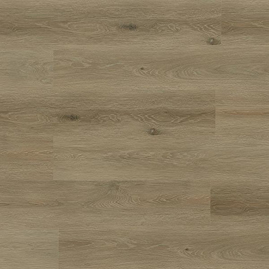 Toucan Vinyl SPC - TFSPC 311 - F - TFSPC311 - D & R Flooring
