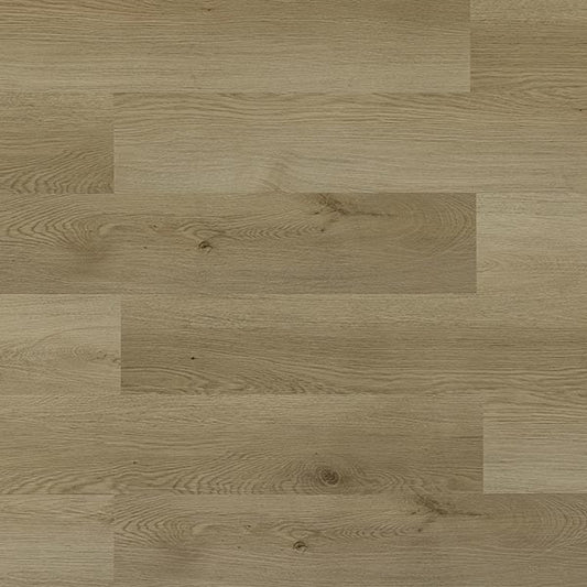 Toucan Vinyl SPC - TFSPC 312 - F - TFSPC312 - D & R Flooring