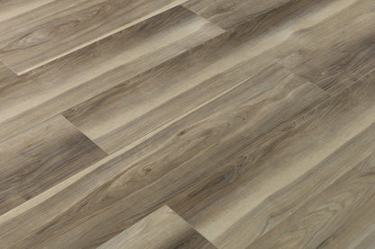 Toucan Vinyl SPC - TFSPC 508 - F - TFSPC508 - D & R Flooring