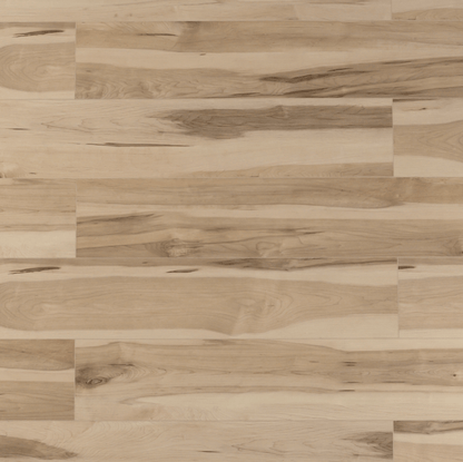 Toucan Vinyl SPC - TFSPC 510 - F - TFSPC510 - D & R Flooring