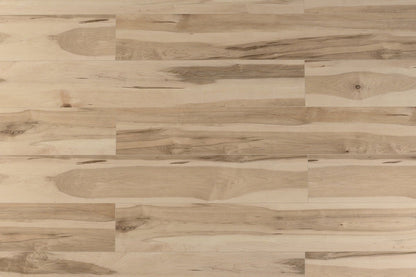 Toucan Vinyl SPC - TFSPC 510 - F - TFSPC510 - D & R Flooring