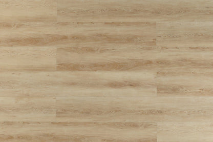 Toucan Vinyl SPC - TFSPC 511 - F - TFSPC511 - D & R Flooring