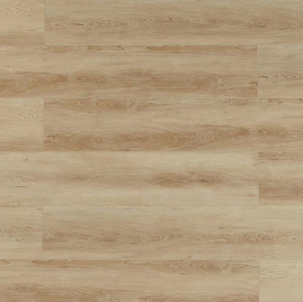 Toucan Vinyl SPC - TFSPC 511 - F - TFSPC511 - D & R Flooring
