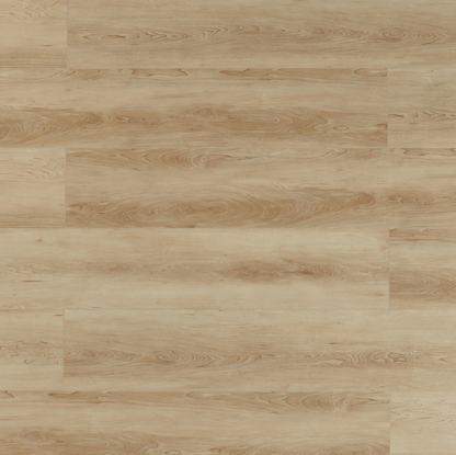 Toucan Vinyl SPC - TFSPC 511 - F - TFSPC511 - D & R Flooring