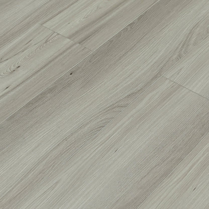 Toucan Vinyl SPC - TFSPC 603 - F - TFSPC603 London - D & R Flooring