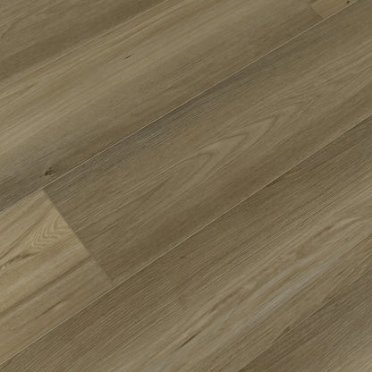 Toucan Vinyl SPC - TFSPC 607 - F - TFSPC607 Lion - D & R Flooring