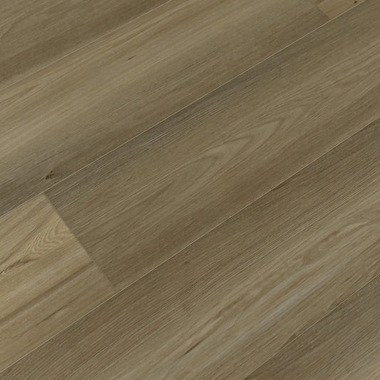 Toucan Vinyl SPC - TFSPC 607 - F - TFSPC607 Lion - D & R Flooring