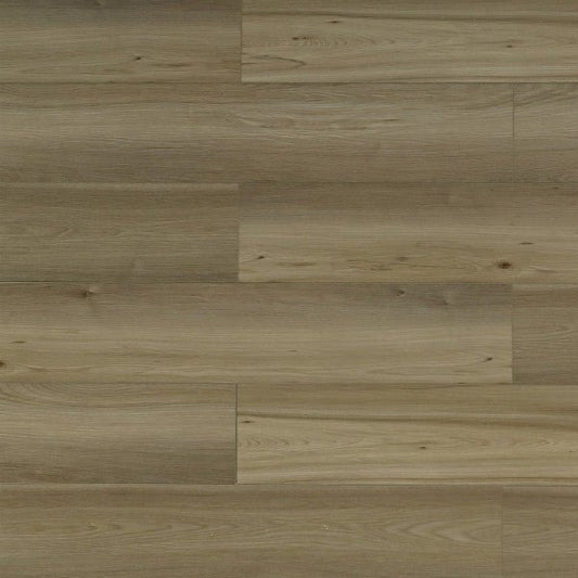 Toucan Vinyl SPC - TFSPC 607 - F - TFSPC607 Lion - D & R Flooring
