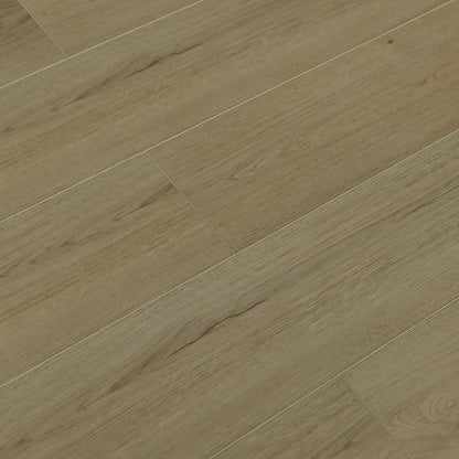 Toucan Vinyl SPC - TFSPC 608 - F - TFSPC608 Istanbul - D & R Flooring