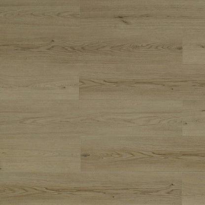 Toucan Vinyl SPC - TFSPC 608 - F - TFSPC608 Istanbul - D & R Flooring