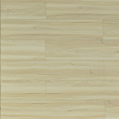 Toucan Vinyl SPC - TFSPC 611 - F - TFSPC611 Vienna - D & R Flooring