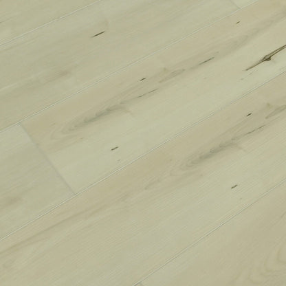 Toucan Vinyl SPC - TFSPC 612 - F - TFSPC612 Belgrade - D & R Flooring