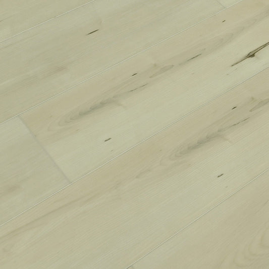 Toucan Vinyl SPC - TFSPC 612 - F - TFSPC612 Belgrade - D & R Flooring