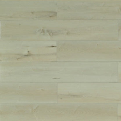 Toucan Vinyl SPC - TFSPC 612 - F - TFSPC612 Belgrade - D & R Flooring