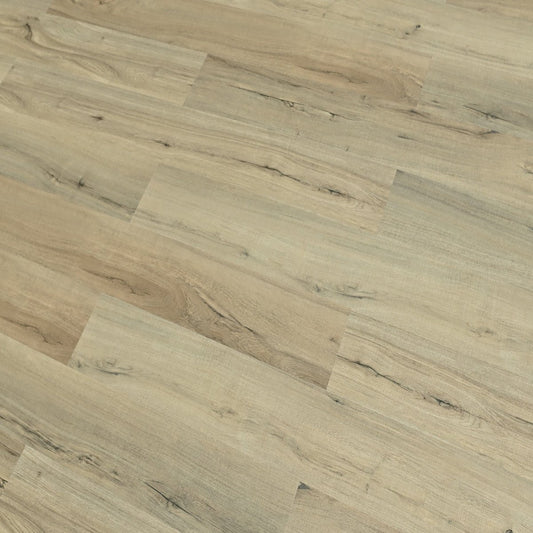 Toucan Vinyl TF SPC 704 - TFSPC704 - F Castine - D & R Flooring
