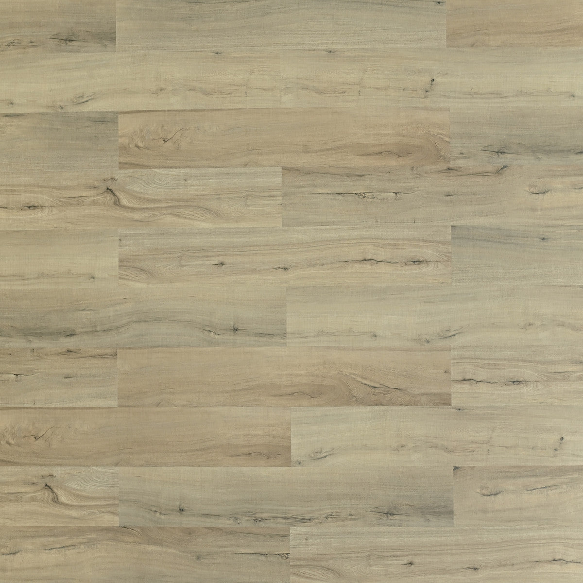 Toucan Vinyl TF SPC 704 - TFSPC704 - F Castine - D & R Flooring