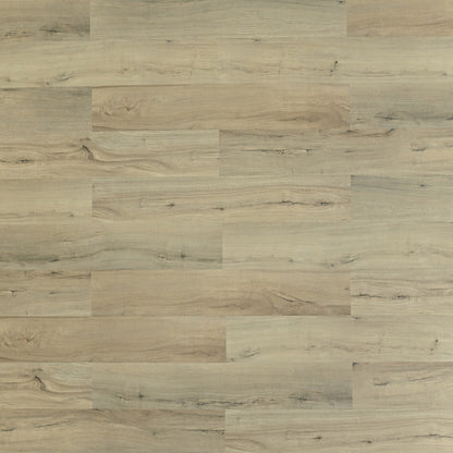 Toucan Vinyl TF SPC 704 - TFSPC704 - F Castine - D & R Flooring