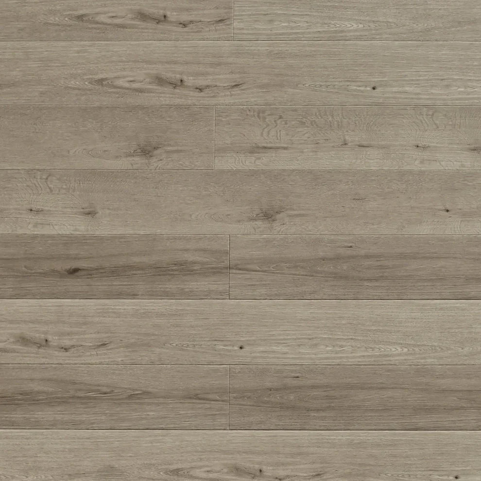 Toucan Vinyl TF SPC 907 - TFSPC907 | TUDOR - D & R Flooring