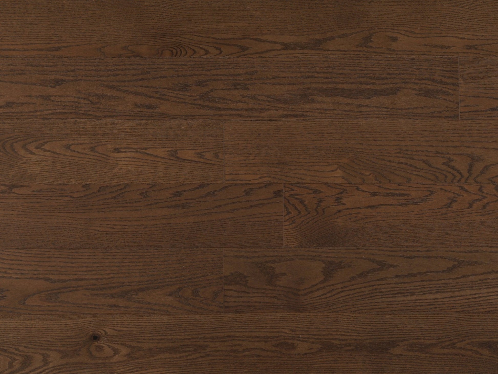 Vidar 6 Collection 3/4" Engineered Hardwood - American Oak Camel - D & R Flooring