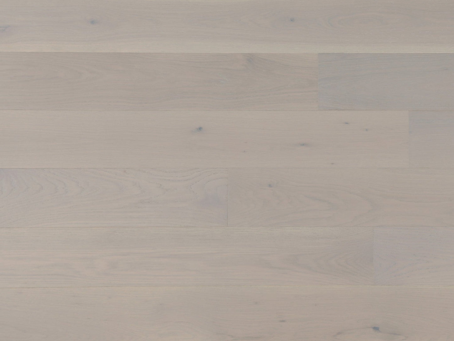 Vidar 6 Collection 3/4" Engineered Hardwood - American Oak Fortino - D & R Flooring