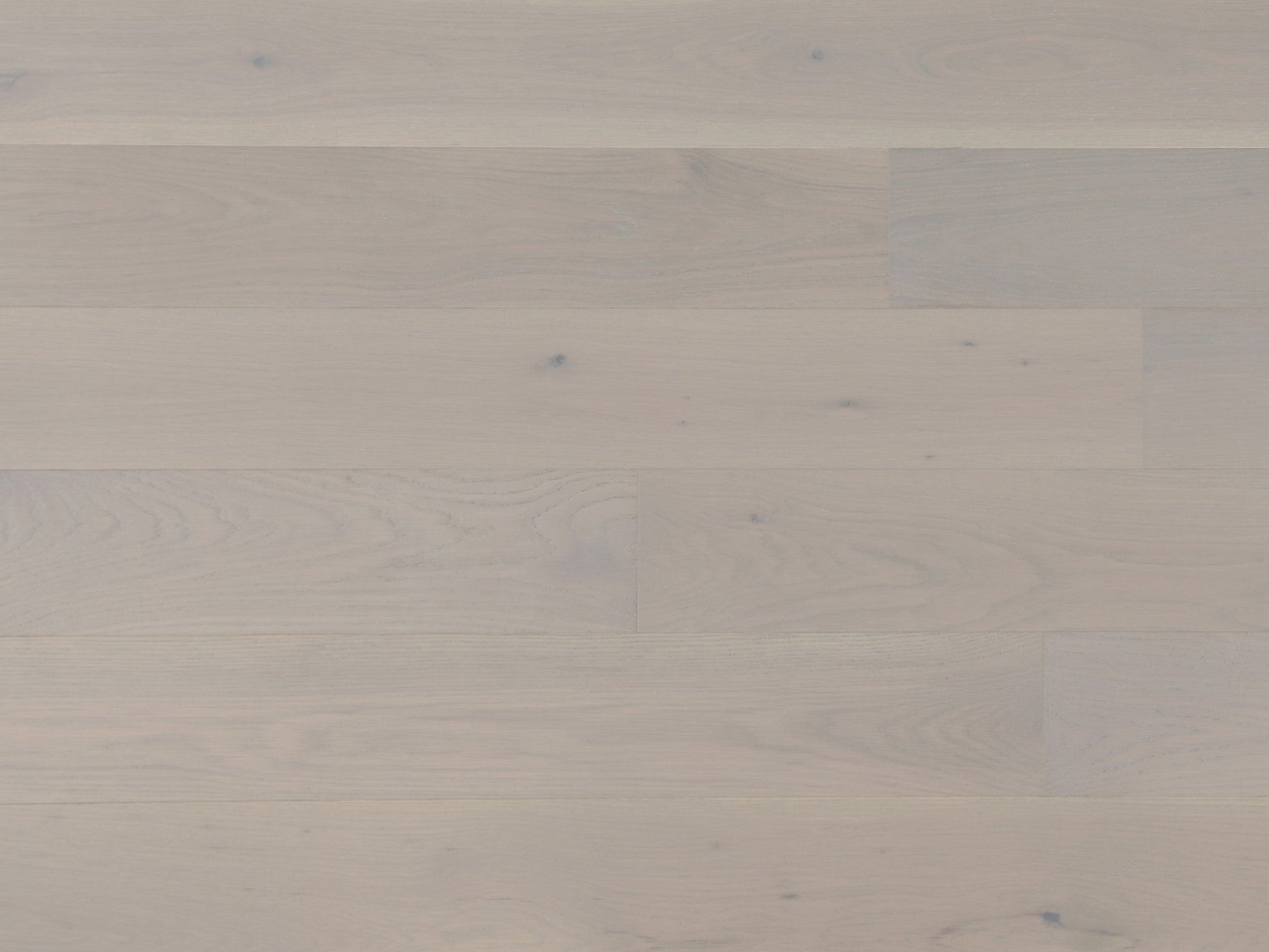 Vidar 6 Collection 3/4" Engineered Hardwood - American Oak Fortino - D & R Flooring