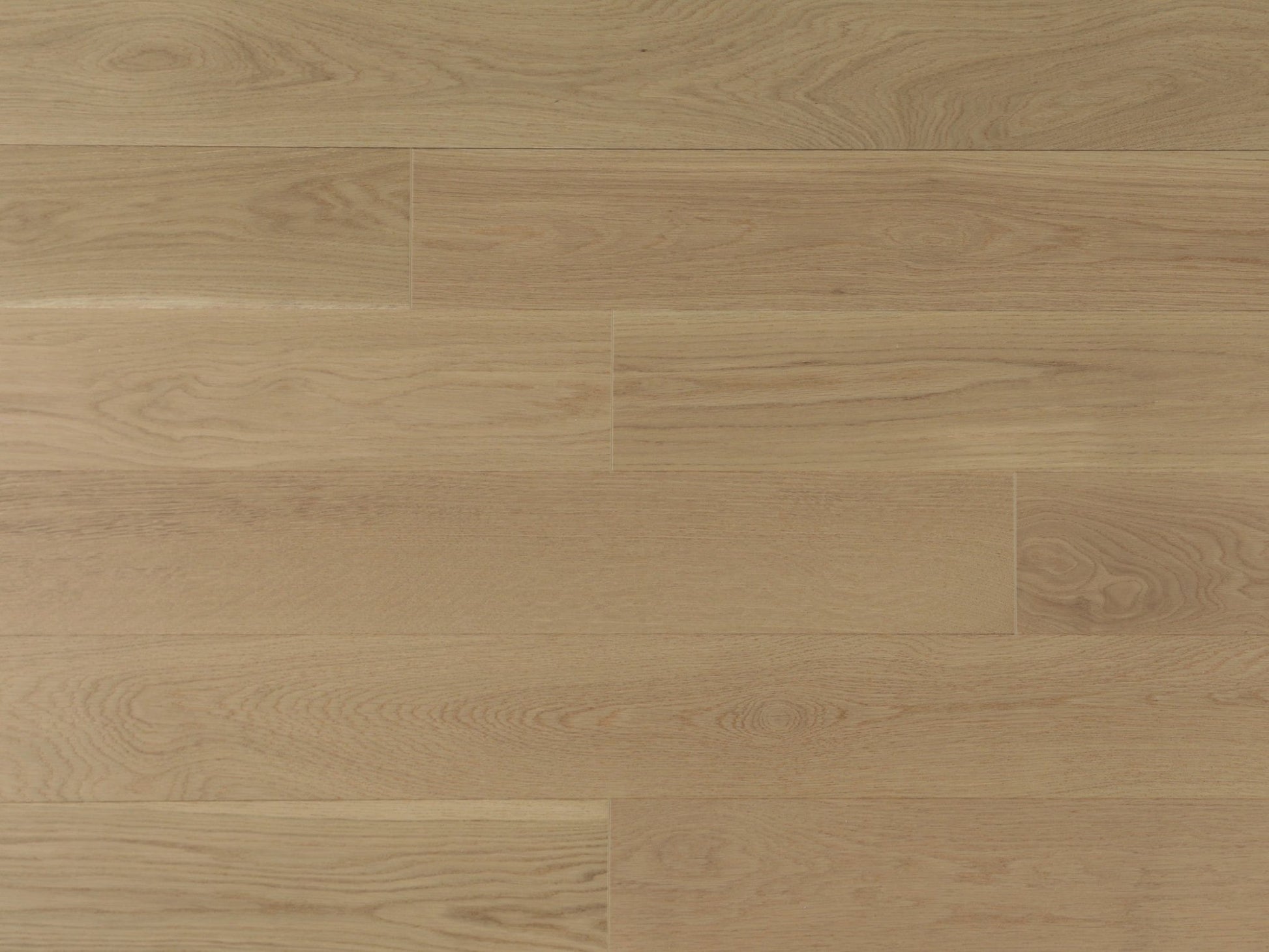 Vidar 6 Collection 3/4" Engineered Hardwood - American Oak Moonlight - D & R Flooring