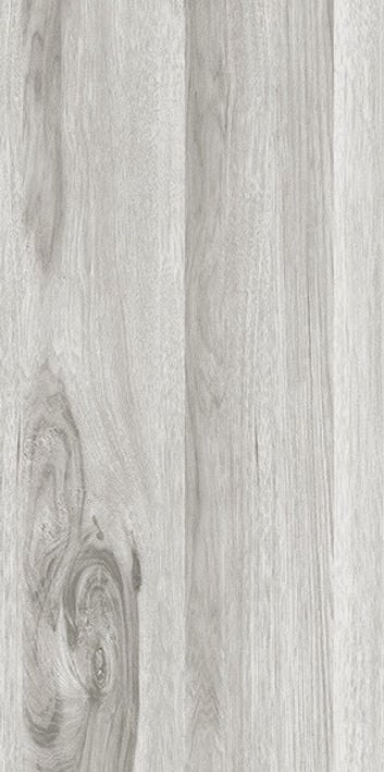 Ceramic Tile - cinder ash Matte 12x24 - D & R Flooring