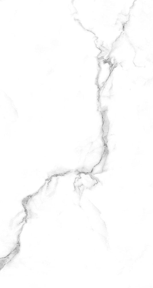 Ceramic Tile - Harmony White Polish 12x24 - D & R Flooring