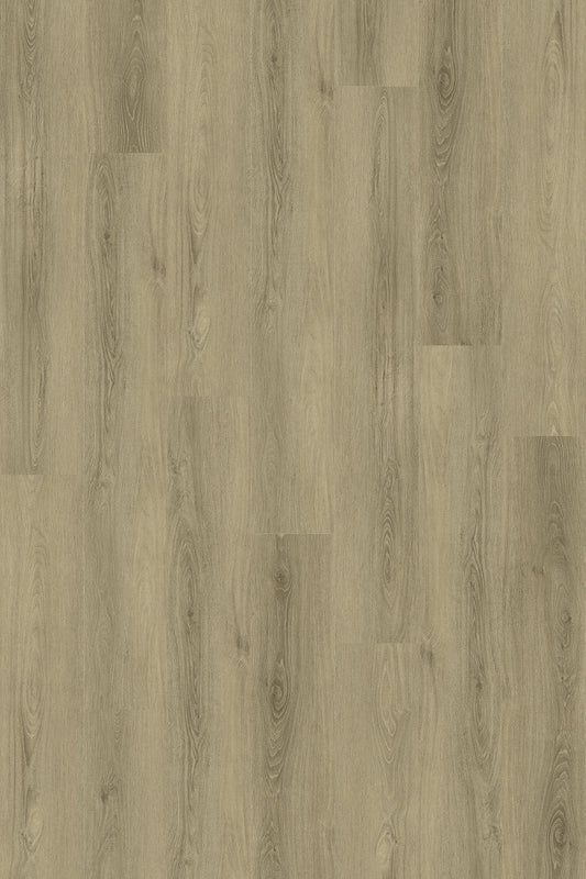 Harbinger SPC Vinyl - Alexandria 9" - D & R Flooring