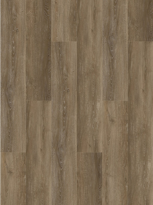Harbinger WPC Vinyl - Cambridge 9" - D & R Flooring