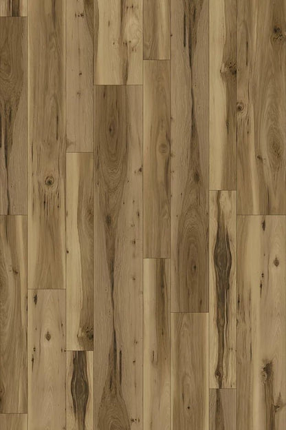 Harbinger WPC Vinyl - Knoxville - D & R Flooring